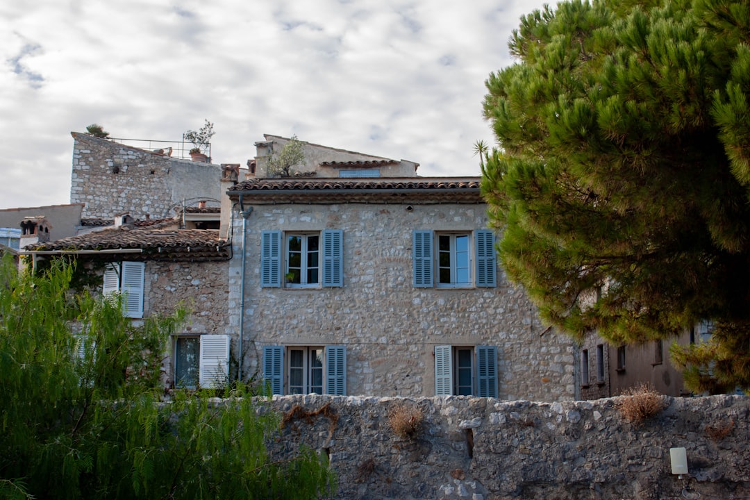 Stone building with blue shutters and green tree